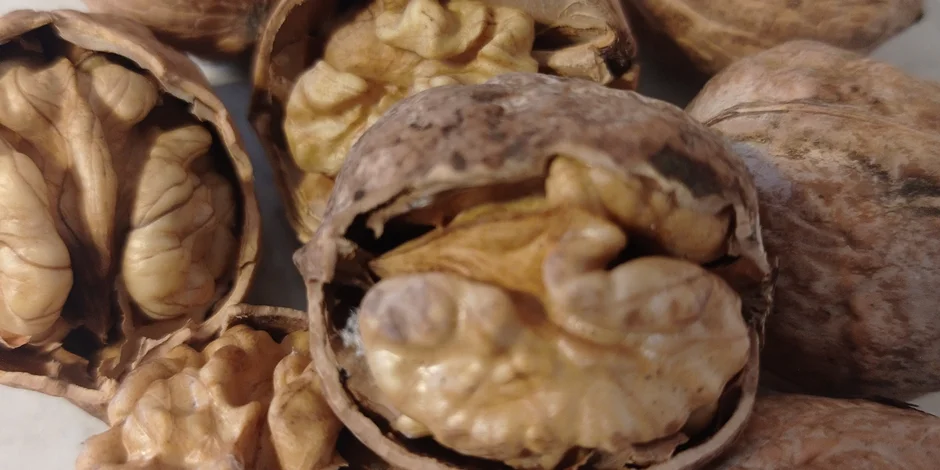 خواص گردو