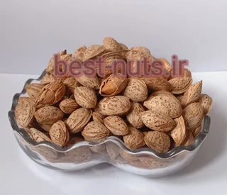 بادام کاغذی