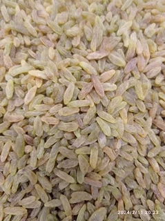 کشمش سبز قلمی