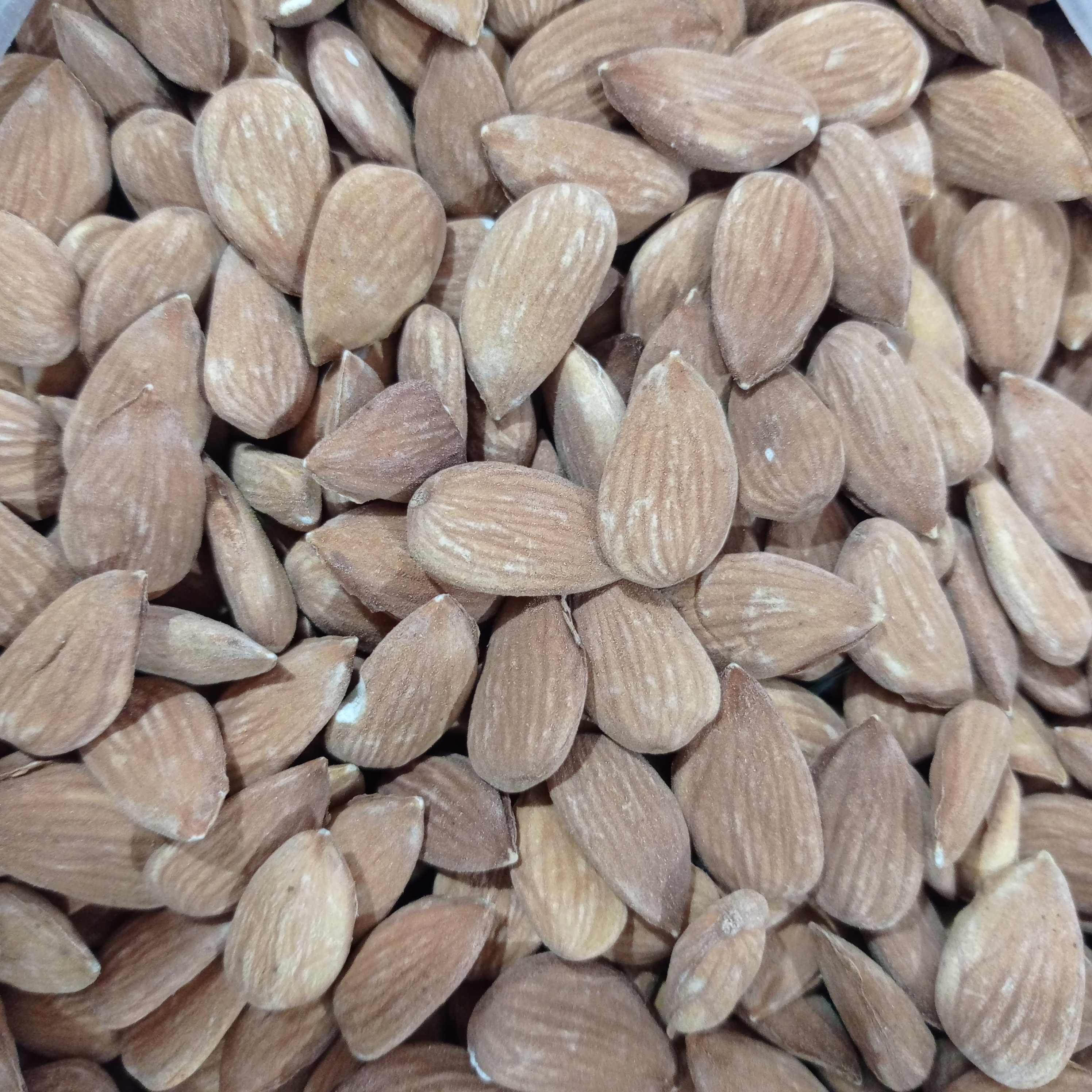 مغز بادام تنو