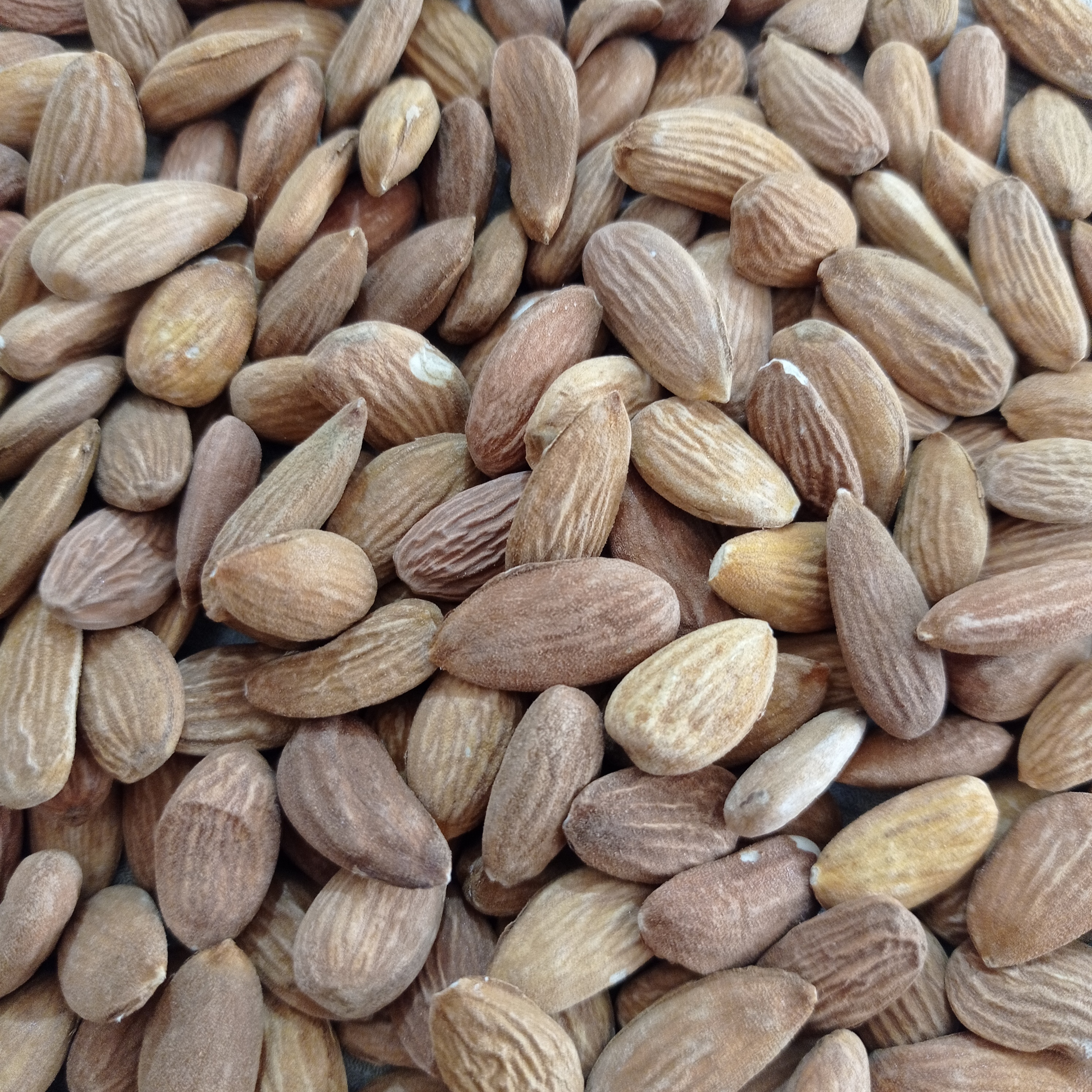 مغز بادام  اذرشهر(پر فروش ترین سایز)