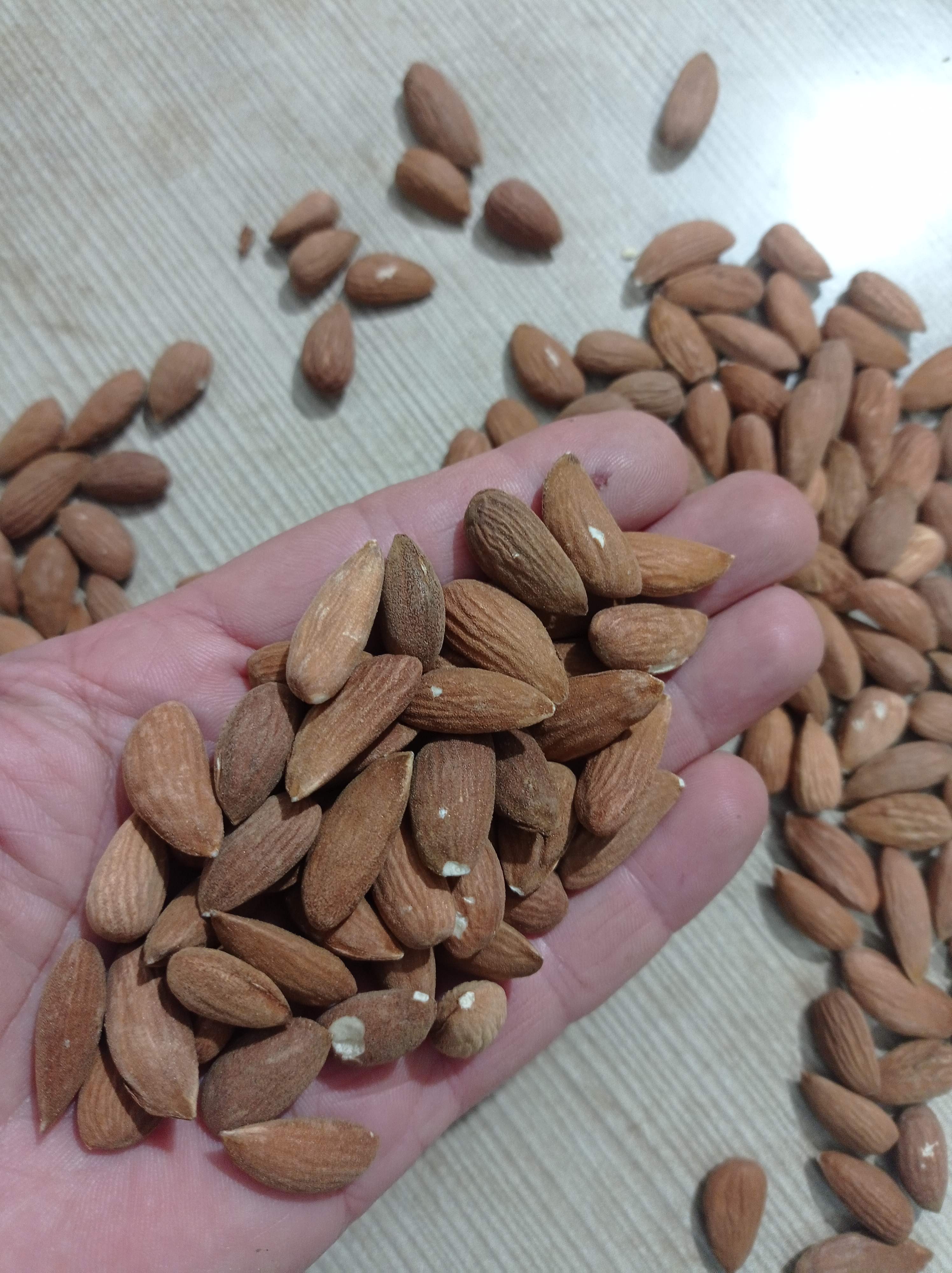 مغز بادام  اذرشهر