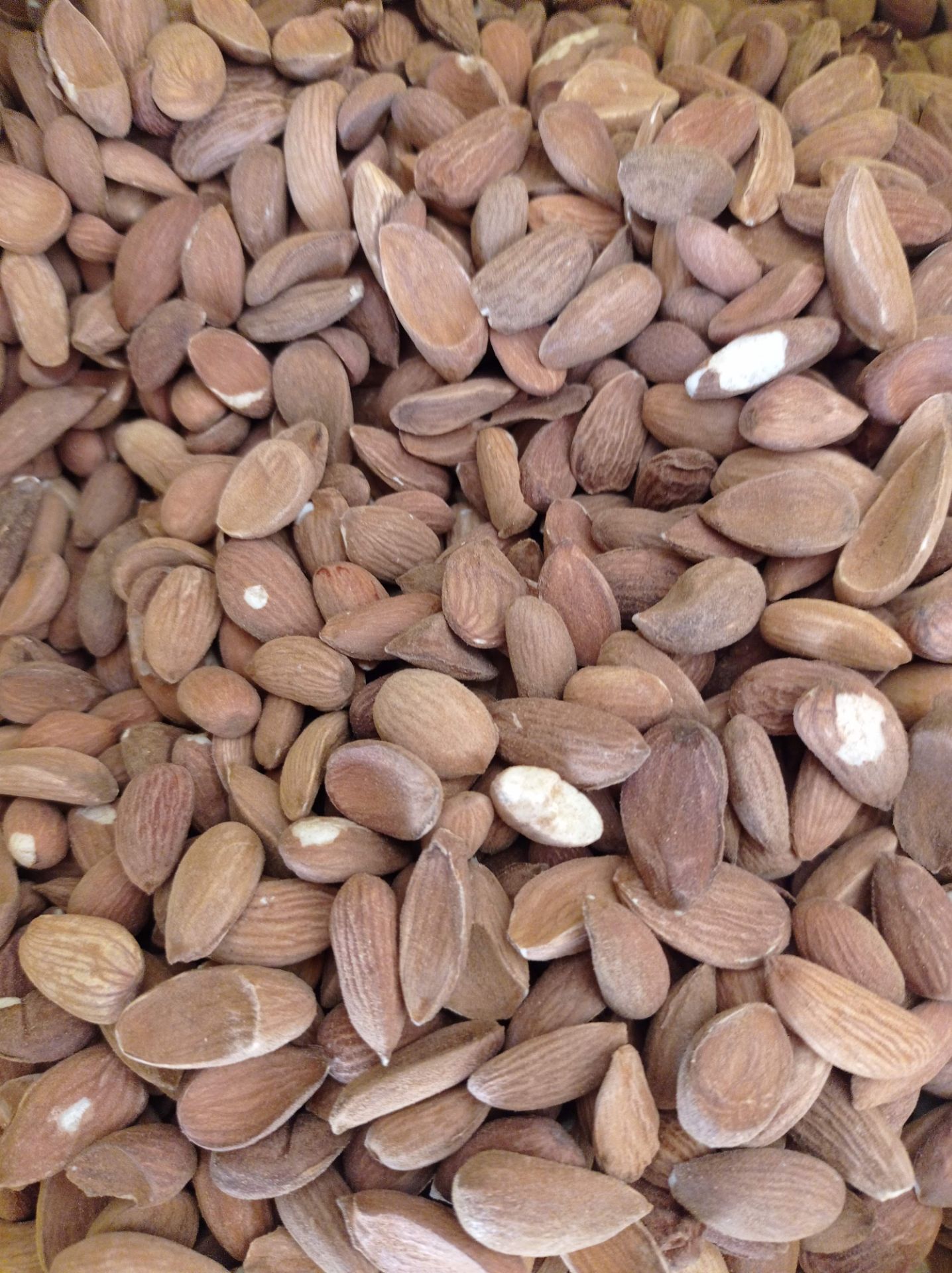 مغز بادام دوقلو  با دراژه