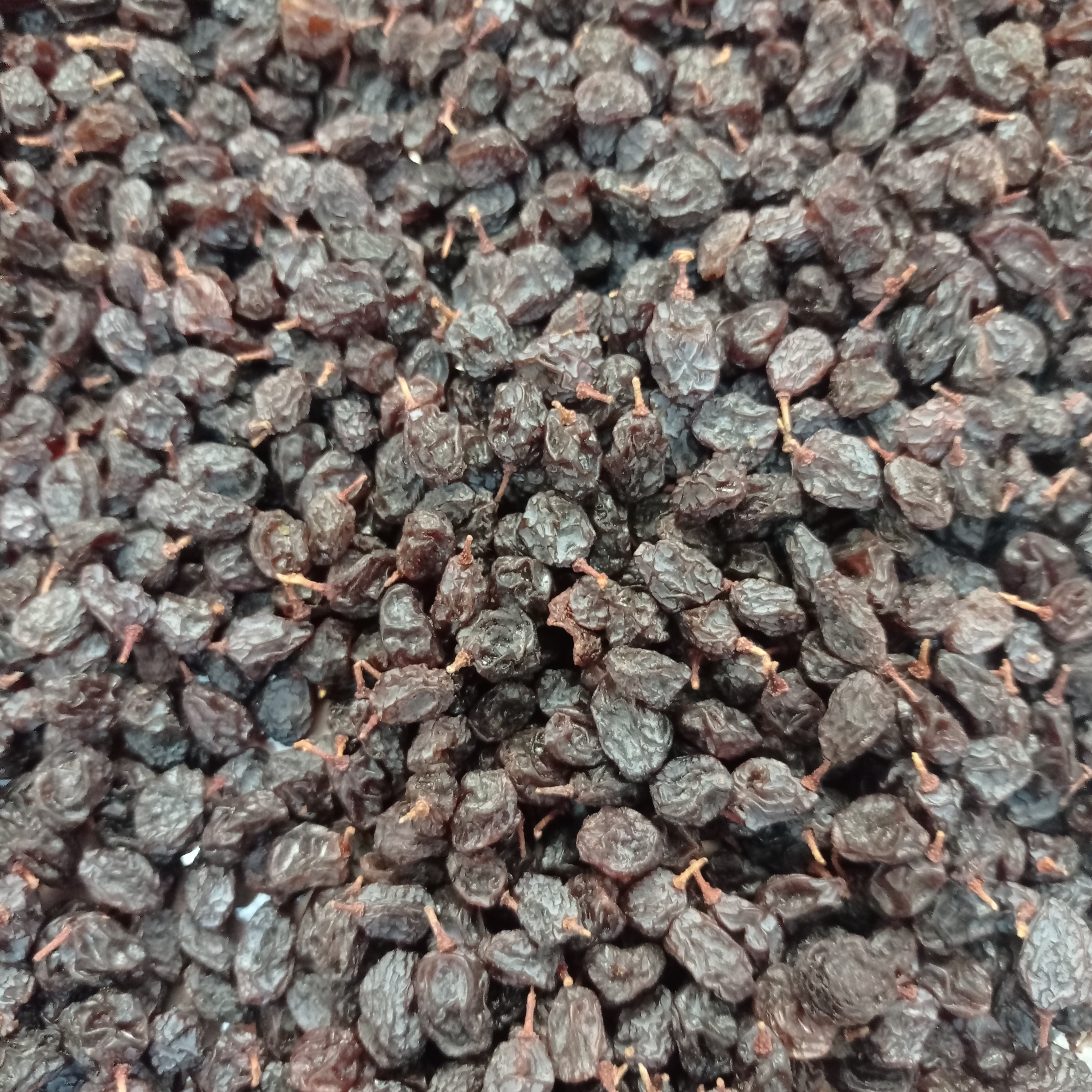 کشمش افتابی