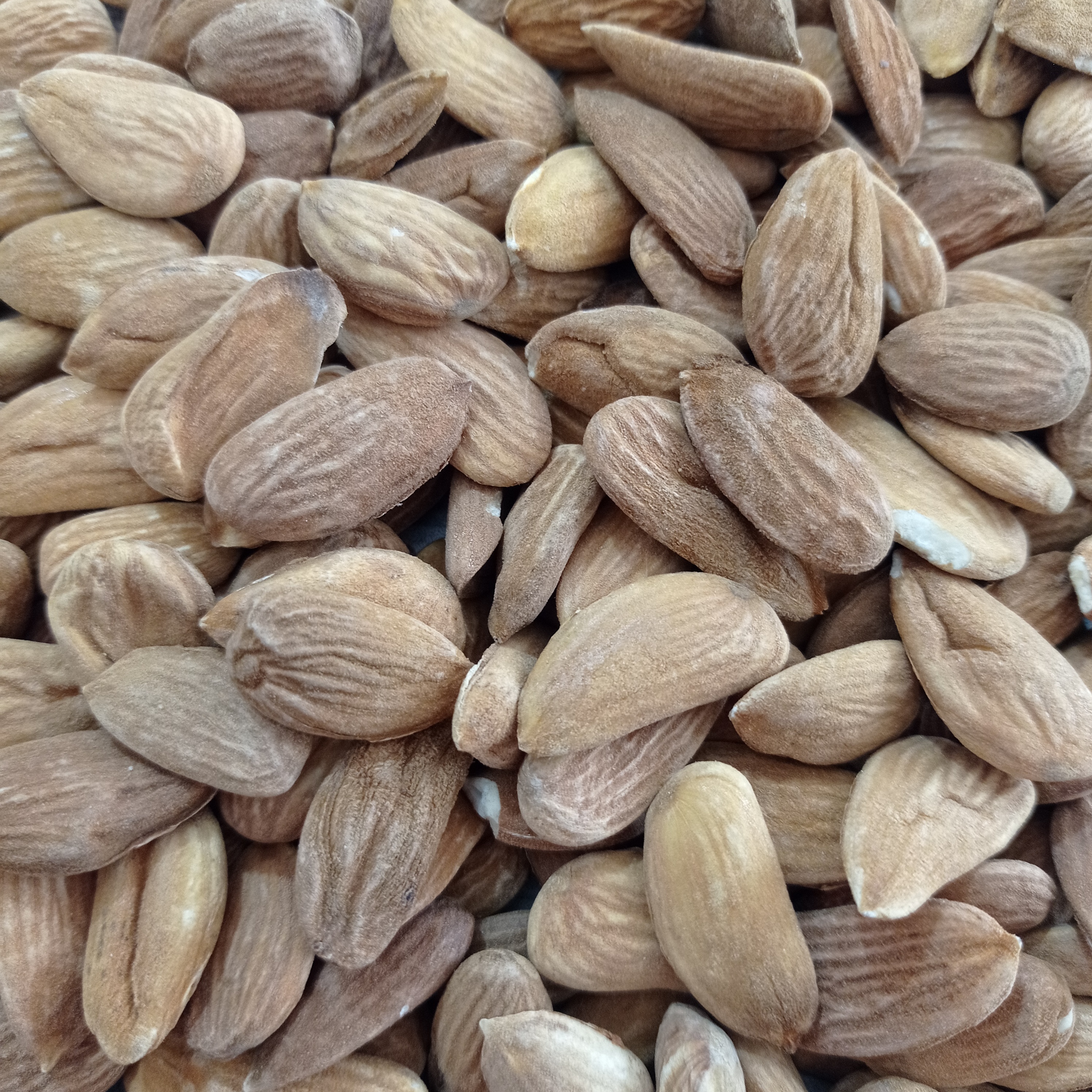 مغز بادام سنگی اعلا