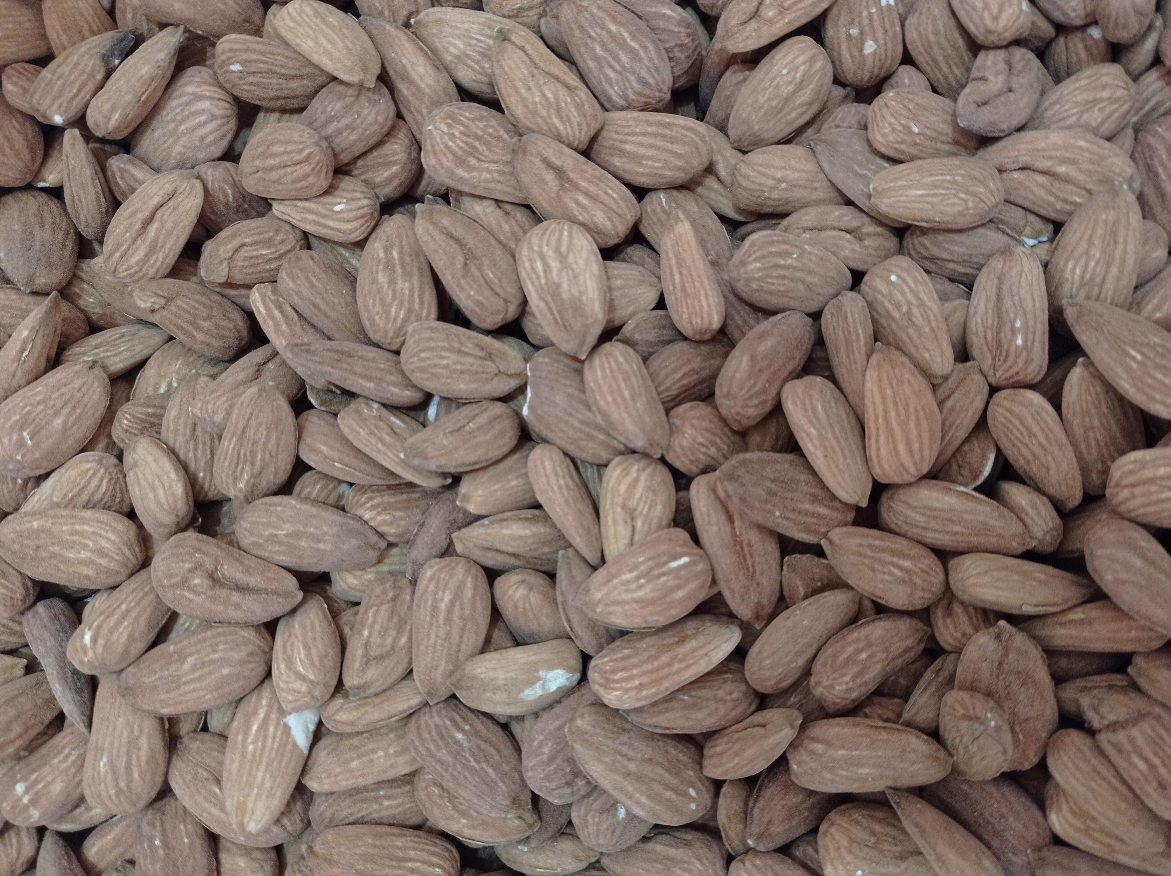 مغز بادام یاماقا(اصلاح شده)