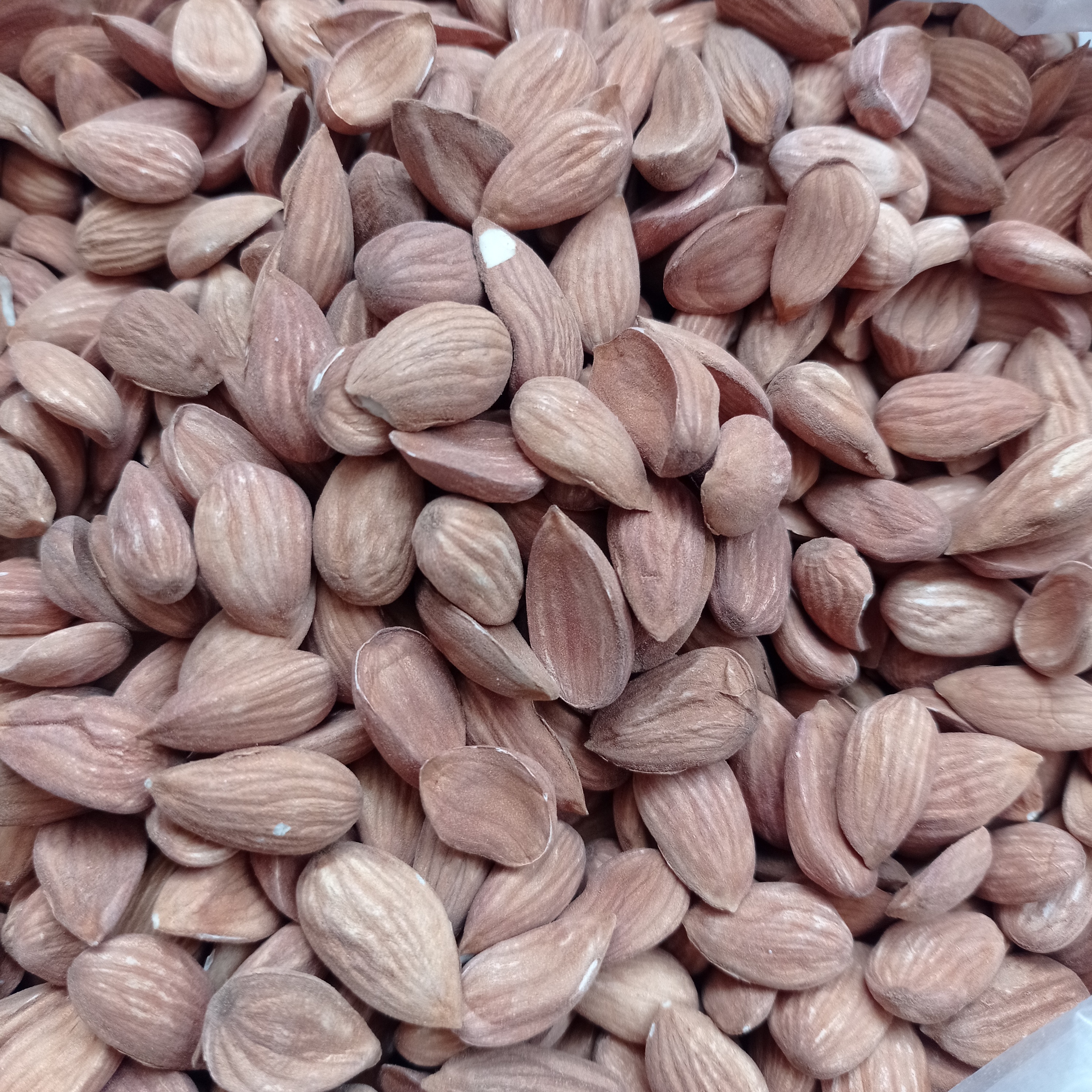 مغز بادام اصلاح شده