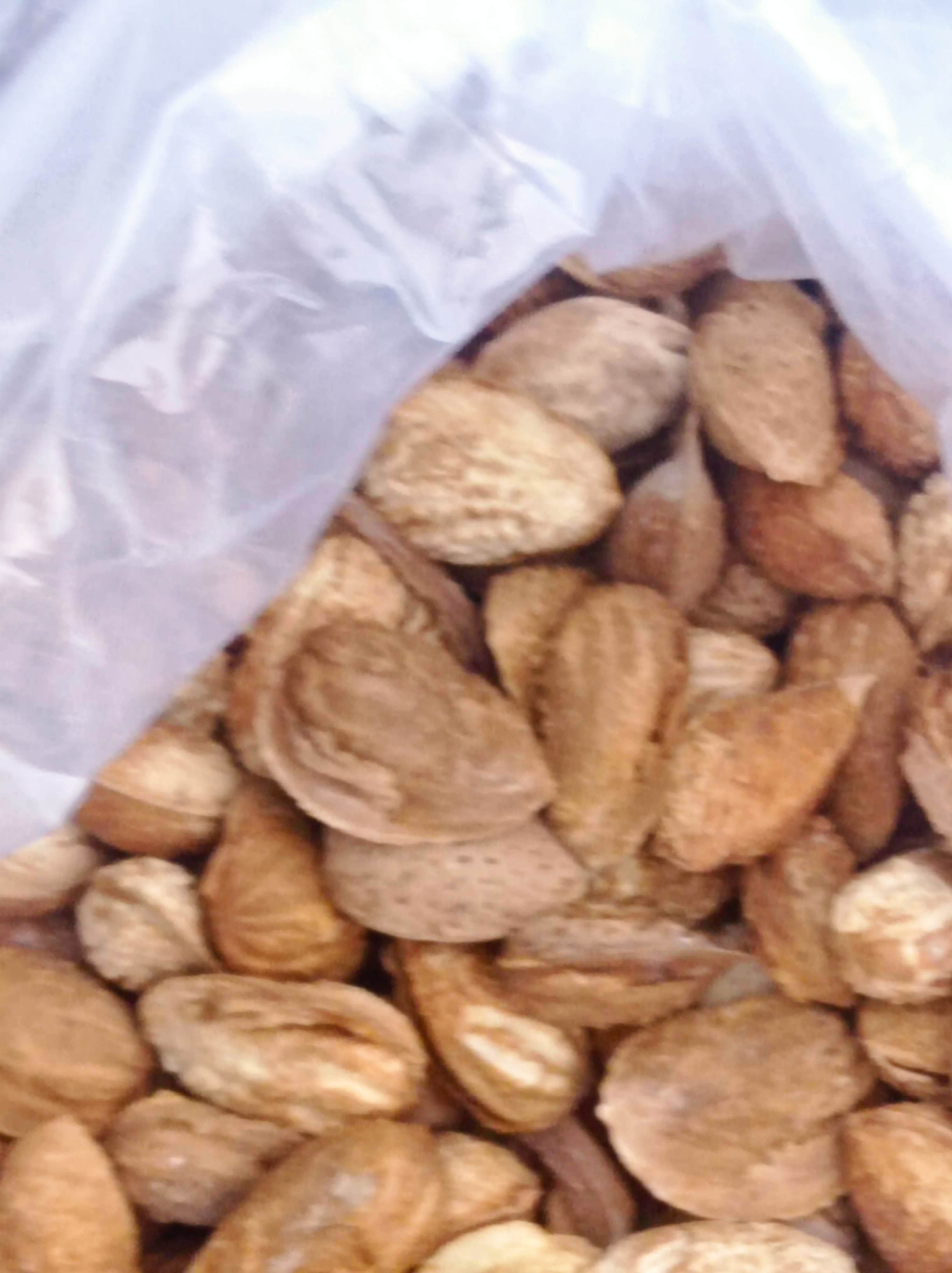 بادام کاغذی فرانسه درجه ۱