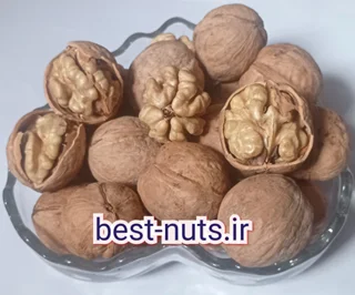 گردوی کاغذی سوپر