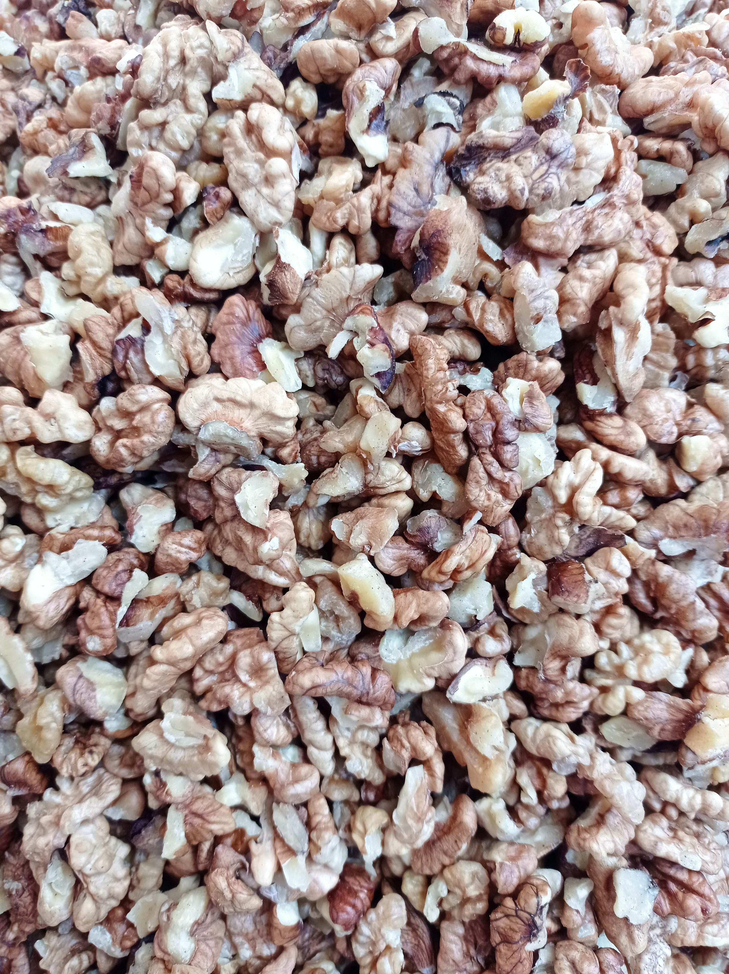 مغز گردوی شکسته ایرانی