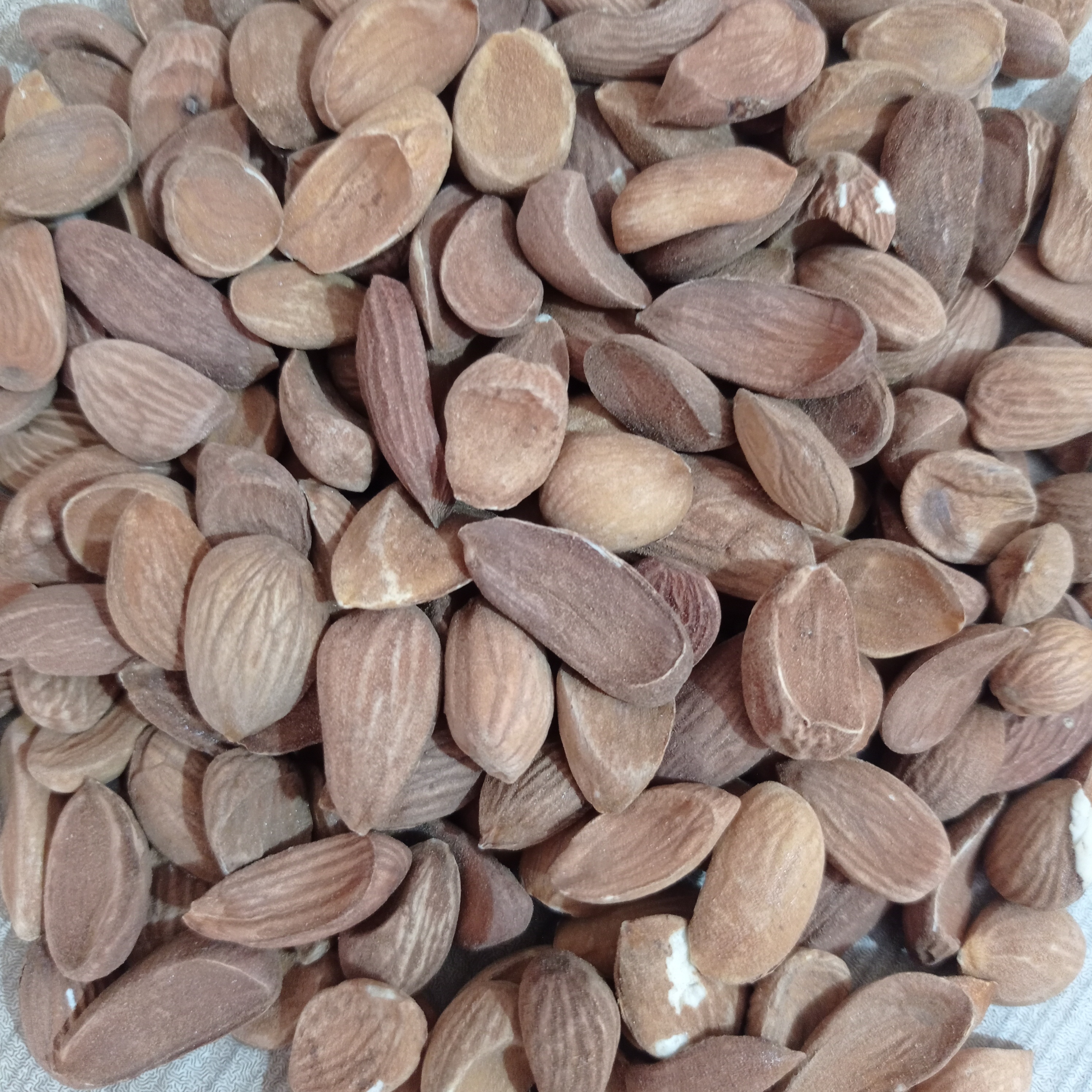 مغز بادام درختی خام(دوقلو)